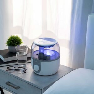 2 Liter Cool Mist Humidifier