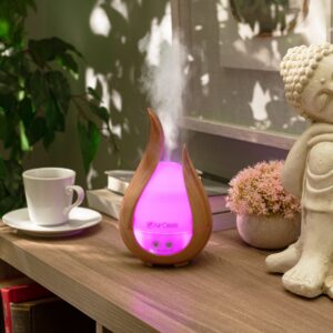 Essential Oil Diffuser & Humidifier